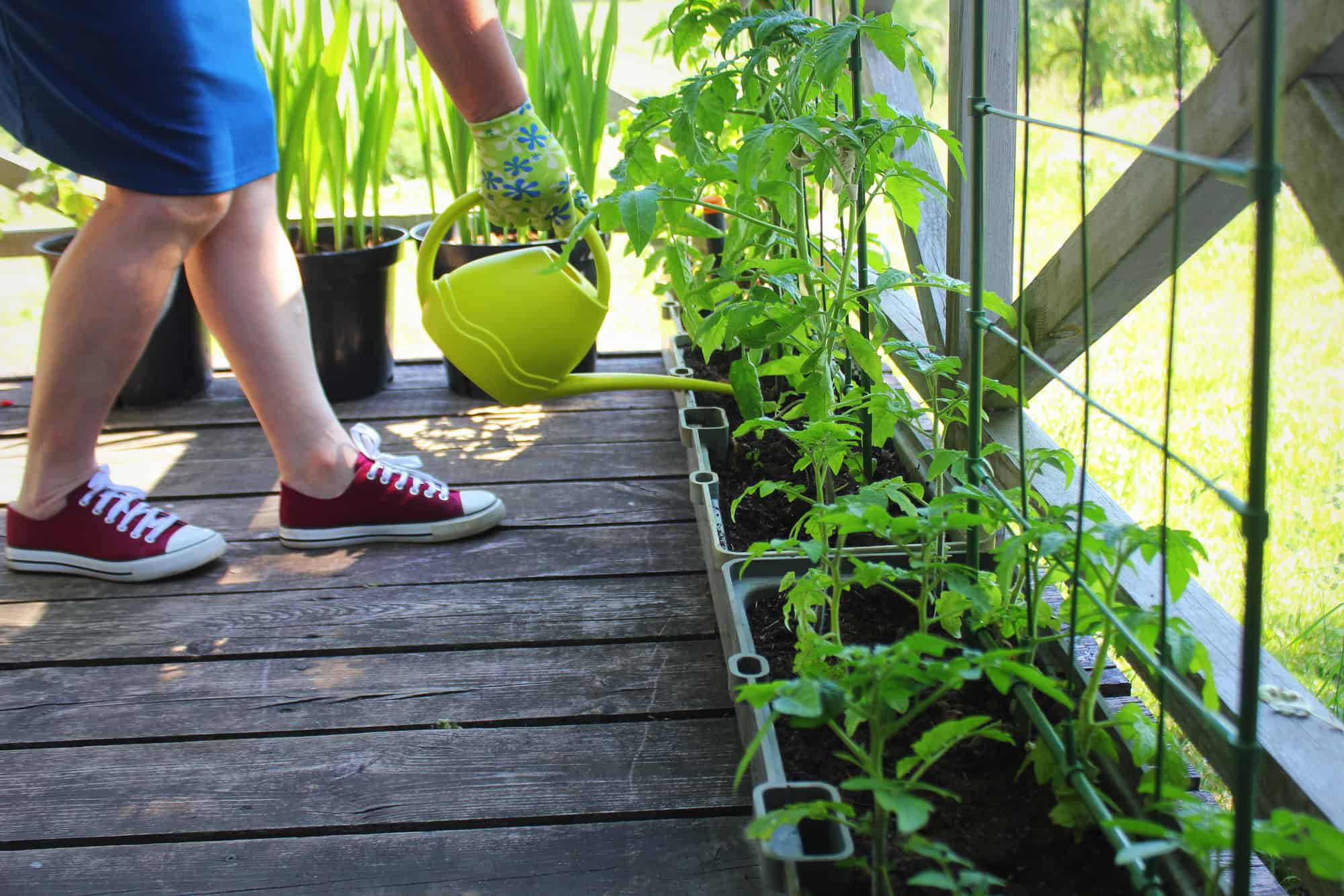 The Easy Beginner's Guide to Small Space Gardening - The Potted Gardener