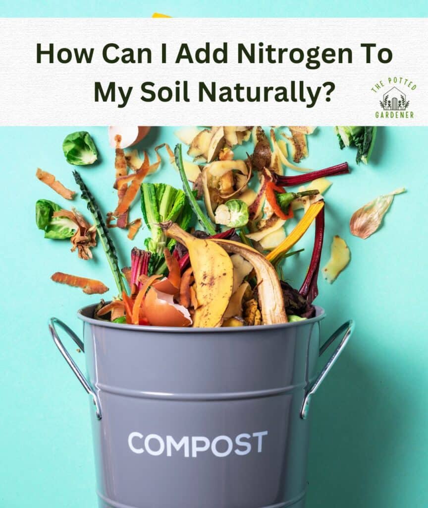 Cheap Ways To Add Nitrogen to Soil 10 Affordable Hacks The Potted