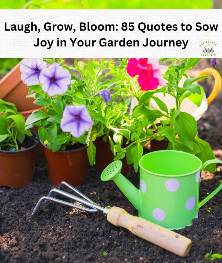 85 Gardening Quotes to Plant Inspiration and Joy