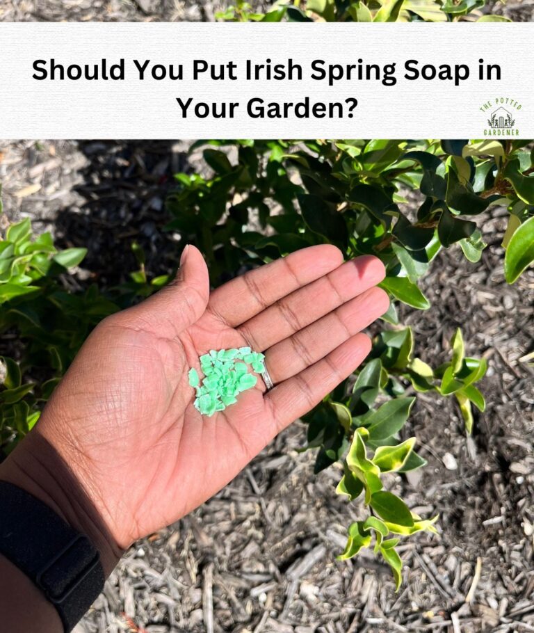 Is Irish Spring Soap Safe for Your Garden Plants?